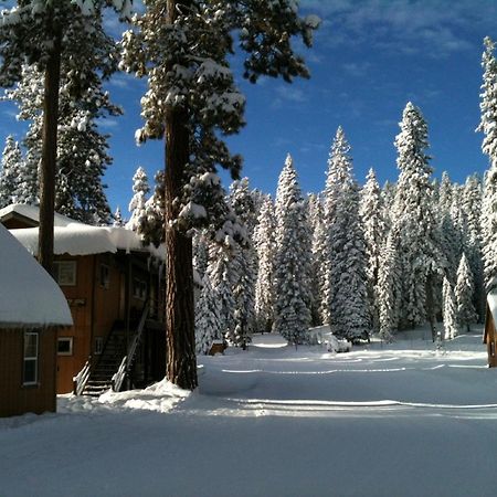 Montecito Sequoia Lodge Wilsonia Exterior photo