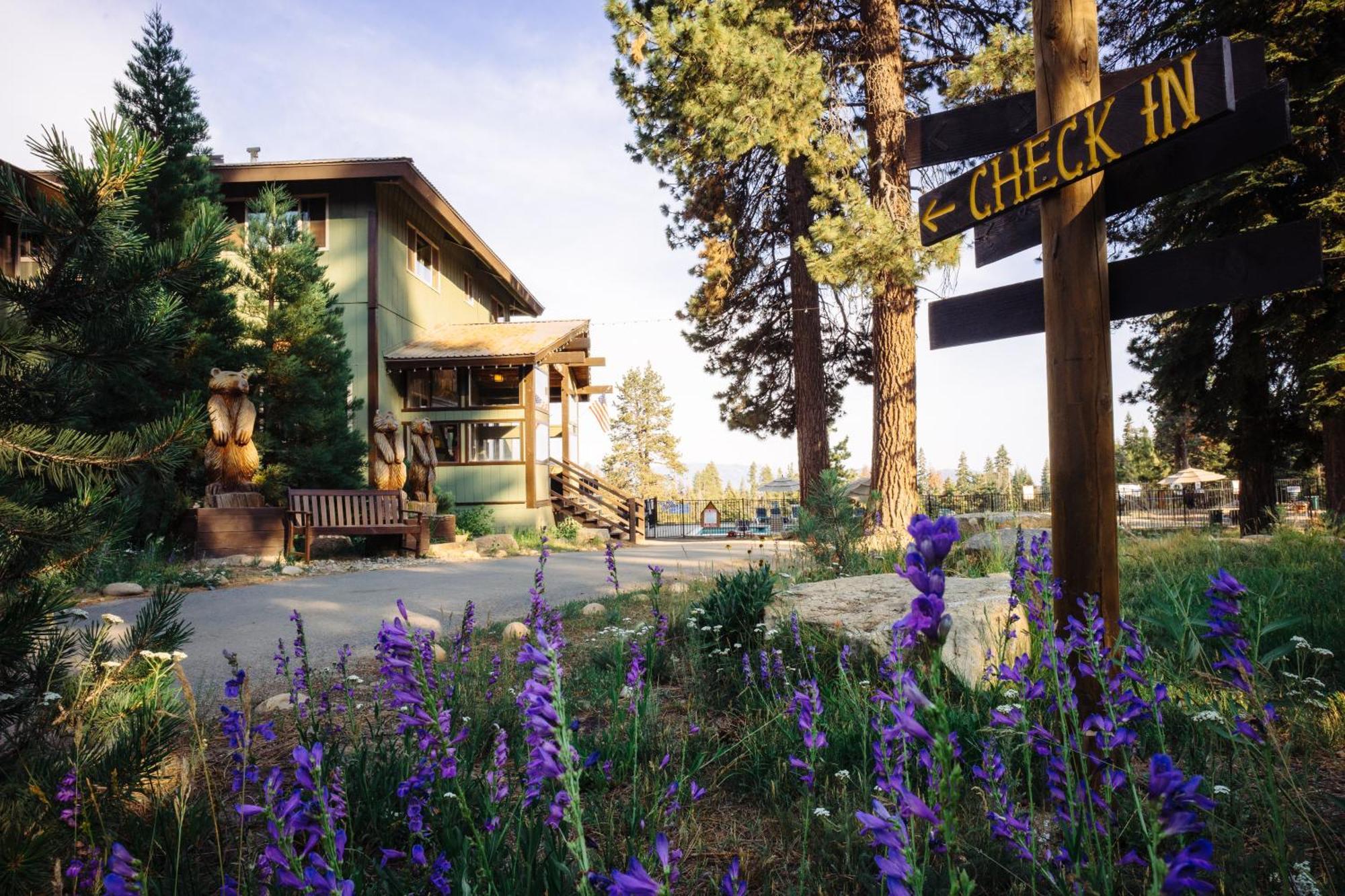 Montecito Sequoia Lodge Wilsonia Exterior photo